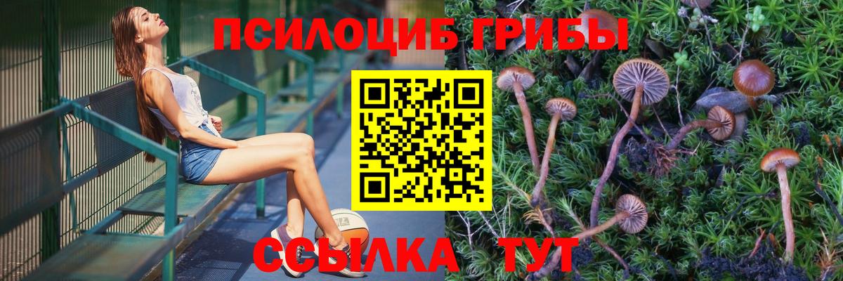 Псилоцибиновые грибы Magic Shrooms  Вход с VPN  Псилоцибиновые грибы Cubensis  Новодвинск 